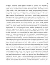 Vietinės savivaldos principai 10 puslapis