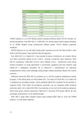 Bevieliai radijo ryšio tinklai 13 puslapis