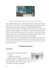 Bevieliai radijo ryšio tinklai 19 puslapis