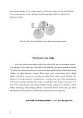 Bevieliai radijo ryšio tinklai 9 puslapis