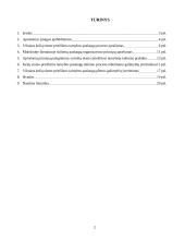 Vilniaus kelių eismo priežiūros tarnybos paslaugų proceso tobulinimas 2 puslapis