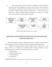 Vilniaus kelių eismo priežiūros tarnybos paslaugų proceso tobulinimas 11 puslapis