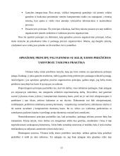 Vilniaus kelių eismo priežiūros tarnybos paslaugų proceso tobulinimas 13 puslapis