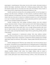 Vilniaus kelių eismo priežiūros tarnybos paslaugų proceso tobulinimas 14 puslapis