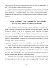 Vilniaus kelių eismo priežiūros tarnybos paslaugų proceso tobulinimas 15 puslapis