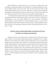 Vilniaus kelių eismo priežiūros tarnybos paslaugų proceso tobulinimas 17 puslapis