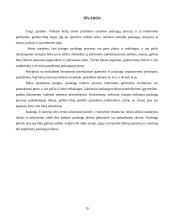 Vilniaus kelių eismo priežiūros tarnybos paslaugų proceso tobulinimas 19 puslapis