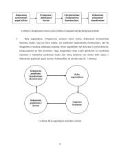 Vilniaus kelių eismo priežiūros tarnybos paslaugų proceso tobulinimas 8 puslapis