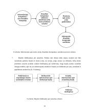 Vilniaus kelių eismo priežiūros tarnybos paslaugų proceso tobulinimas 10 puslapis
