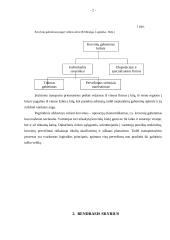 Birių krovinių vežimo organizavimas 3 puslapis