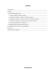 Visuomenės požiūris į įvaikinimą: Kauno miesto gyventojai 2 puslapis