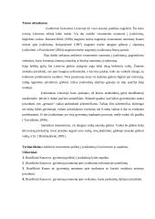 Visuomenės požiūris į įvaikinimą: Kauno miesto gyventojai 4 puslapis