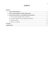 Centrinis Lietuvos bankas ir jo vaidmuo ekonomikoje 2 puslapis