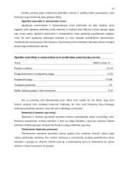 Centrinis Lietuvos bankas ir jo vaidmuo ekonomikoje 13 puslapis