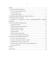 Centrinis bankas (CB) ir jo vaidmuo šalies ekonomikoje 2 puslapis