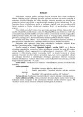 Visuotinės kokybės vadyba: AB "Audimas" 3 puslapis