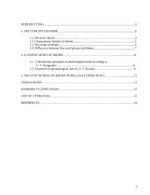 Classification of english idioms 3 puslapis