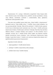 Vladas Katilėlis ir ekspresionizmas 3 puslapis