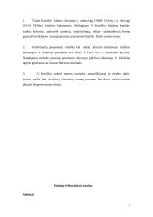 Vladas Katilėlis ir ekspresionizmas 7 puslapis