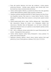 Cukrinių runkelių auginimo išdėstymas ir jo ekonominis įvertinimas 19 puslapis