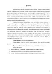 Cukrinių runkelių auginimo išdėstymas ir jo ekonominis įvertinimas 3 puslapis