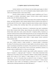 Cukrinių runkelių auginimo išdėstymas ir jo ekonominis įvertinimas 9 puslapis