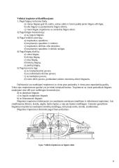 Kelių tiesimo medžiagų gamybos įrenginiai - volinis trupintuvas 6 puslapis