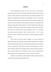 Darbo užmokesčio dydis ir jo dinamika Lietuvoje 2 puslapis