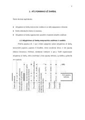 Darbo užmokesčio dydis ir jo dinamika Lietuvoje 3 puslapis