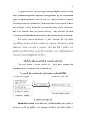 Darbo užmokesčio dydis ir jo dinamika Lietuvoje 4 puslapis