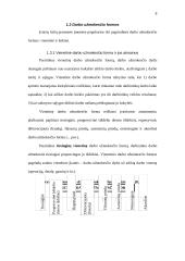 Darbo užmokesčio dydis ir jo dinamika Lietuvoje 7 puslapis