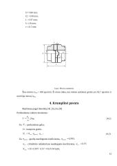 Uolienų volinis trupintuvas 10 puslapis