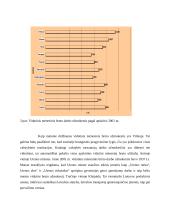 Darbo užmokesčio sąvoka ir struktūra 16 puslapis