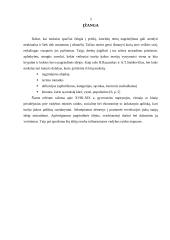 XVIII - XIX amžiaus mąstytojų idėjos 3 puslapis