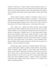 Žaidimų reikšmė vaiko savikontrolės raidai 5 puslapis