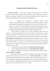 Darbo užmokestis: apmokėjimas, garantijos ir kompensacijos 20 puslapis