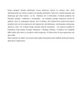 Darbuotojų karjeros planavimas ir organizavimas 8 puslapis