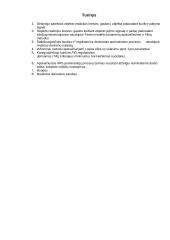 Daugiakontūrių valdymo sistemų projektavimas 2 puslapis