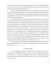 Demokratijos pokyčiai Ukrainoje: "Oranžinė revoliucija" 17 puslapis