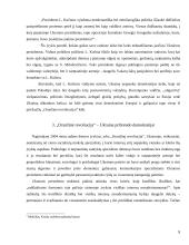 Demokratijos pokyčiai Ukrainoje: "Oranžinė revoliucija" 8 puslapis