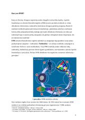 DNR tyrimai: galimybės ir jų panaudojimo praktika Lietuvoje 4 puslapis