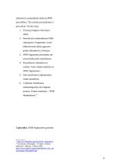 DNR tyrimai: galimybės ir jų panaudojimo praktika Lietuvoje 8 puslapis