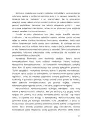 Žiniasklaidos požiūris į homoseksualius asmenis 17 puslapis