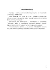 Žiniasklaidos požiūris į homoseksualius asmenis 4 puslapis