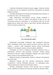 Žiniasklaidos požiūris į homoseksualius asmenis 6 puslapis