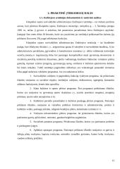 Dokumentinis ir natūrinis auditas: Endriejavo seniūnija 13 puslapis