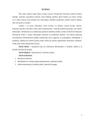 Dokumentinis ir natūrinis auditas: Endriejavo seniūnija 3 puslapis