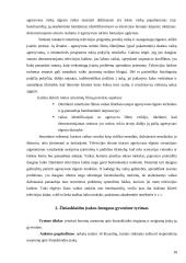 Žiniasklaidos samprata 16 puslapis