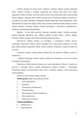 Žinių visuomenės plėtros Lietuvoje veiksniai 11 puslapis