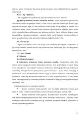 Žinių visuomenės plėtros Lietuvoje veiksniai 13 puslapis